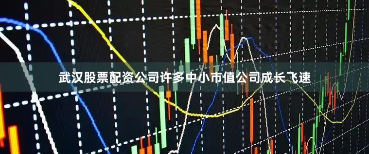 武汉股票配资公司许多中小市值公司成长飞速