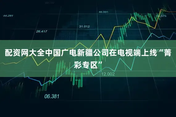 配资网大全中国广电新疆公司在电视端上线“菁彩专区”