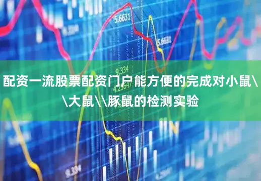 配资一流股票配资门户能方便的完成对小鼠\大鼠\豚鼠的检测实验